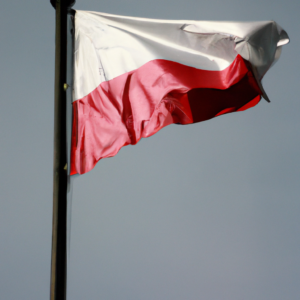 Prawicy Polska dla Polaków